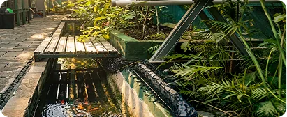 Greenhouse anak